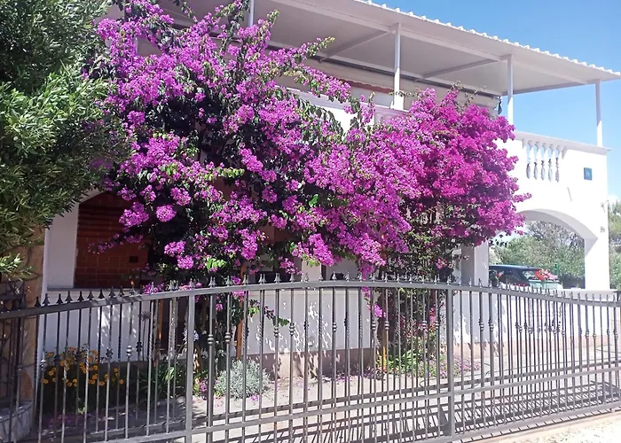With Parking Space Drage, Biograd - 17392 Apartament *