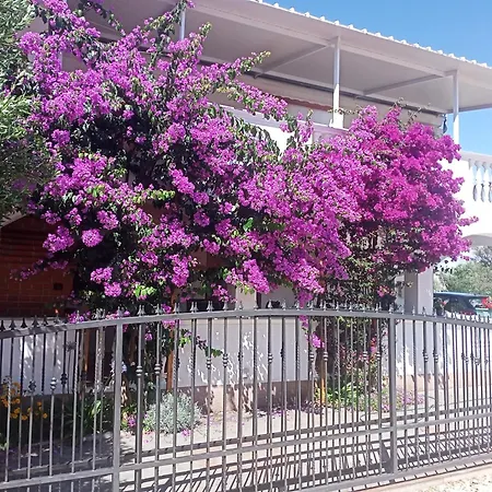 With Parking Space Drage, Biograd - 17392 Lägenhet *